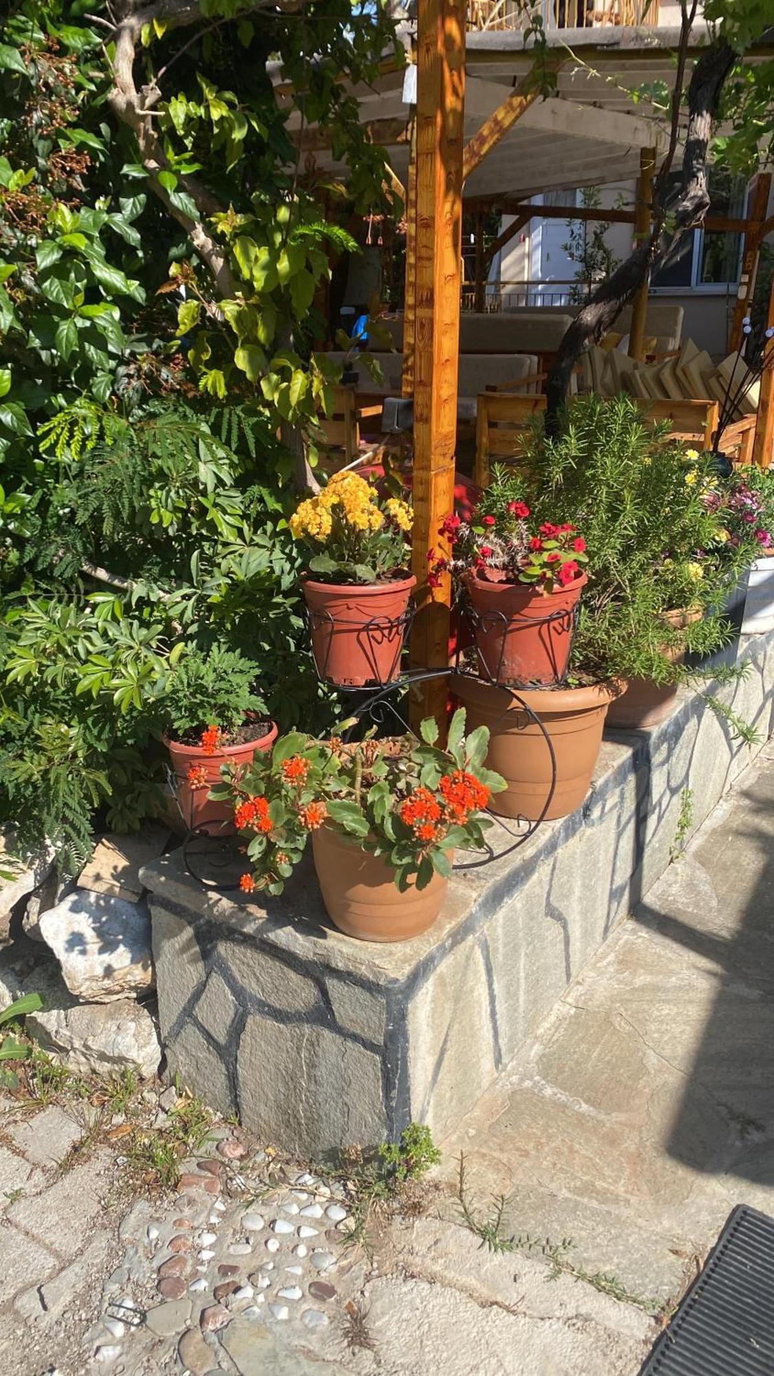 Rosemary Pansiyon Cirali Exterior photo