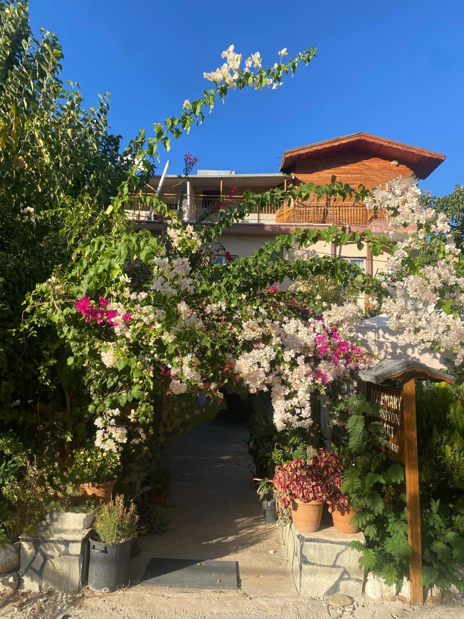 Rosemary Pansiyon Cirali Exterior photo