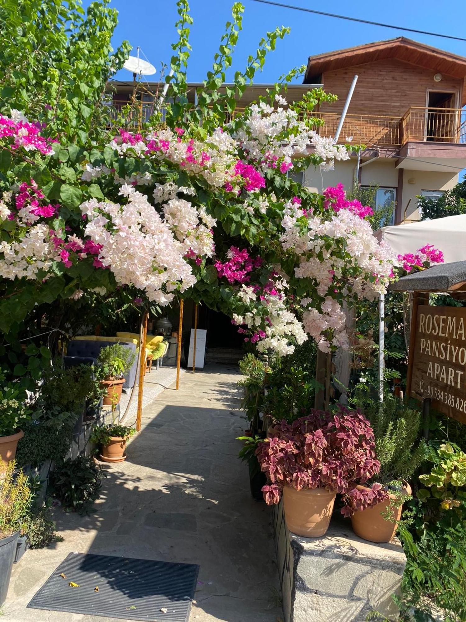 Rosemary Pansiyon Cirali Exterior photo