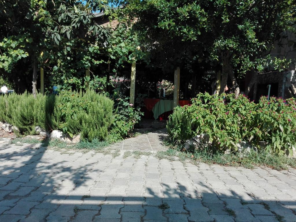 Rosemary Pansiyon Cirali Exterior photo